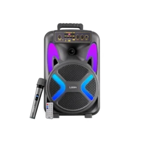 L-264 Ronaq | 8 inch Wireless Speaker