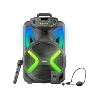 L-266 Ronaq | 15 inch wireless speaker